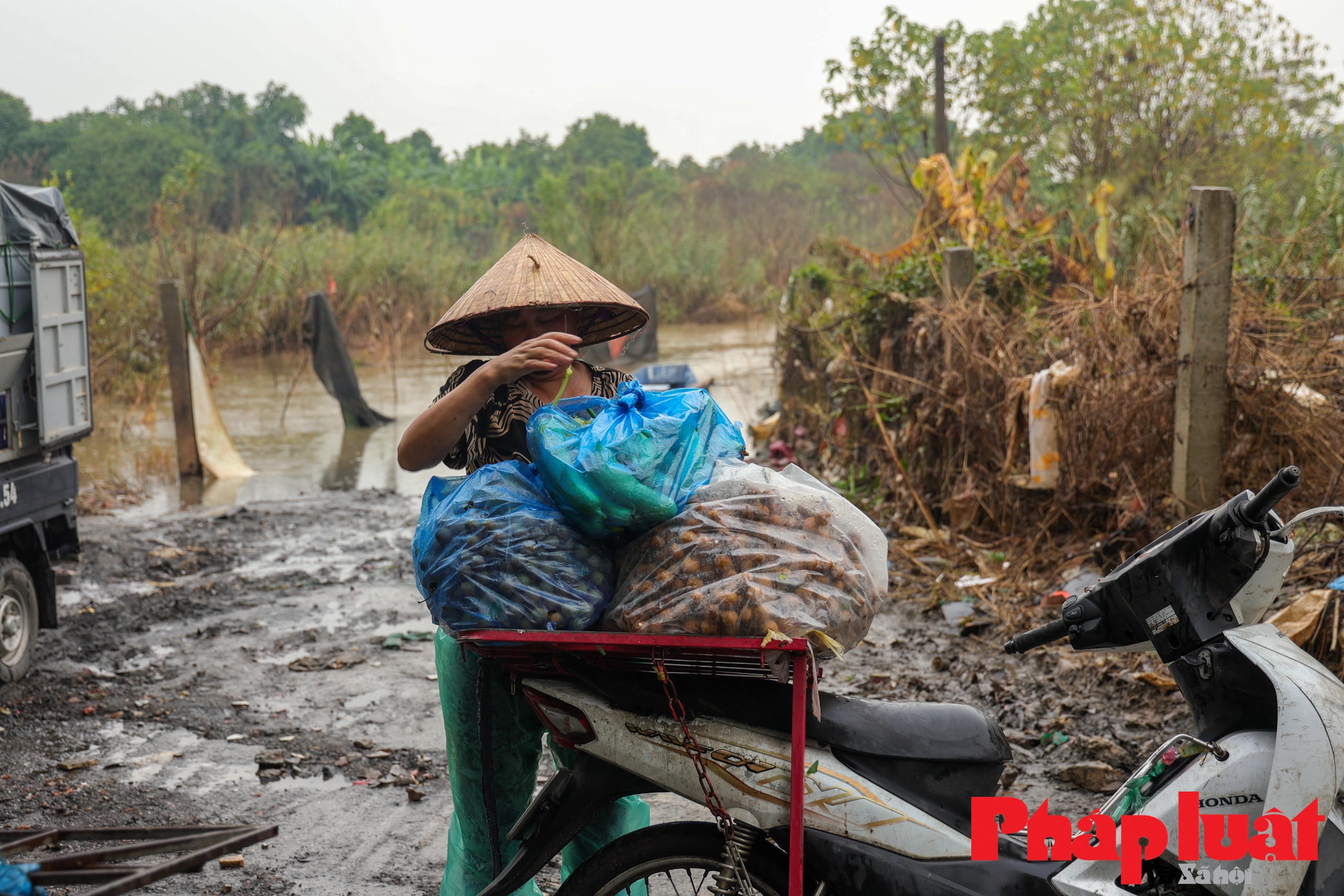 Nước sông Hồng dâng cao, người dân phải đi thuyền về nhà