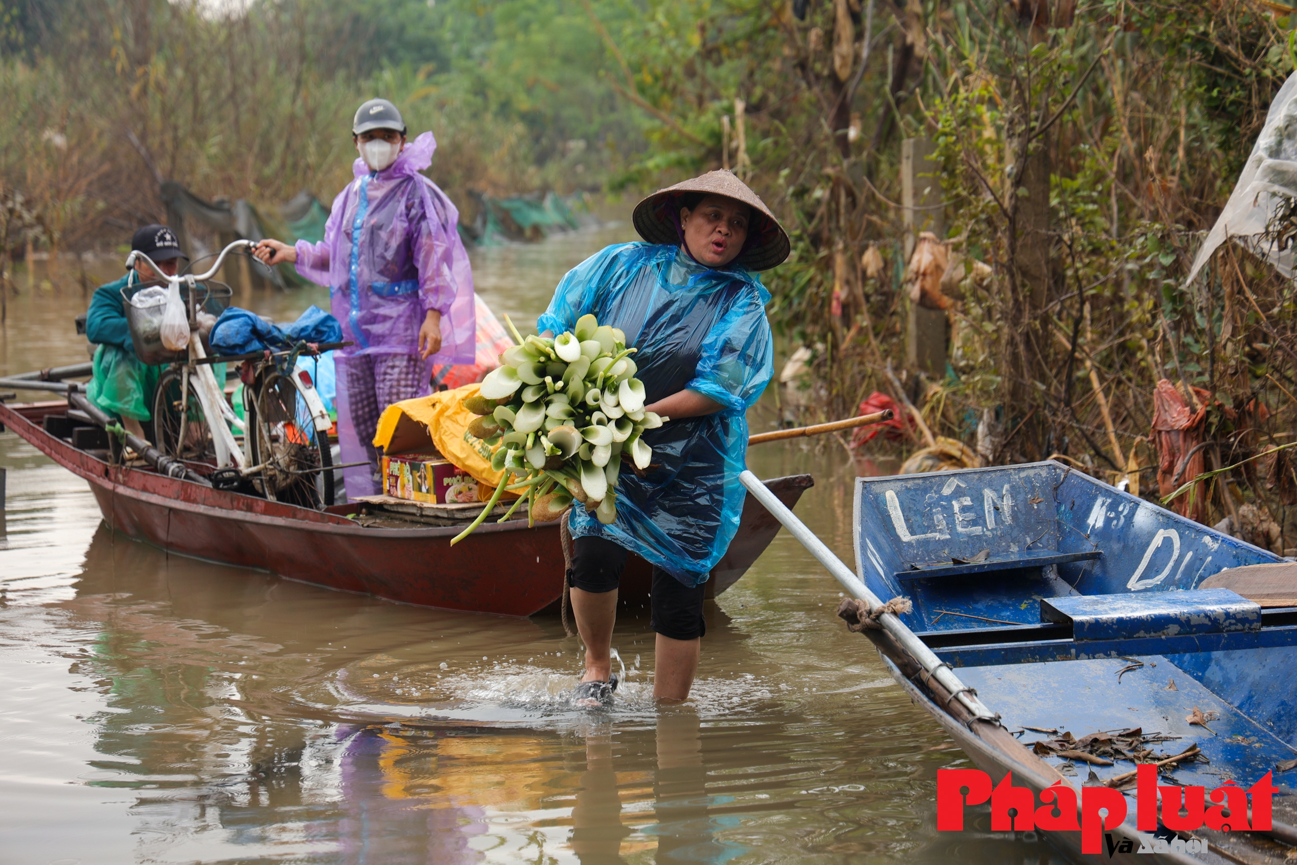 Nước sông Hồng dâng cao, người dân phải đi thuyền về nhà