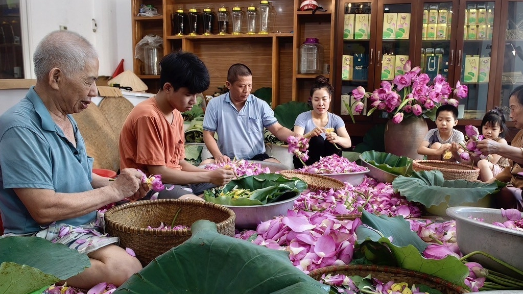 “Nghề ướp trà sen” Quảng An trở thành Di sản Văn hóa phi vật thể quốc gia: cơ hội và thách thức