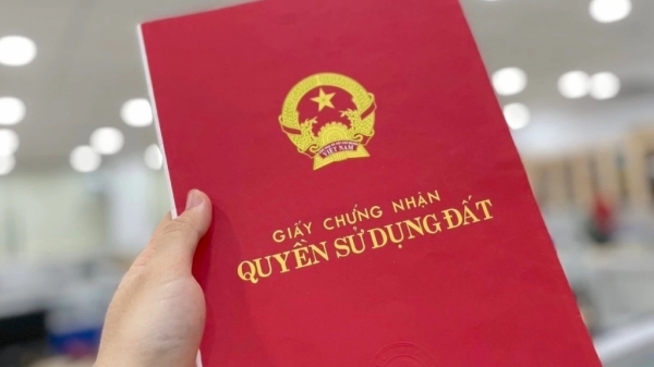 phapluatxahoi.kinhtedothi.vn