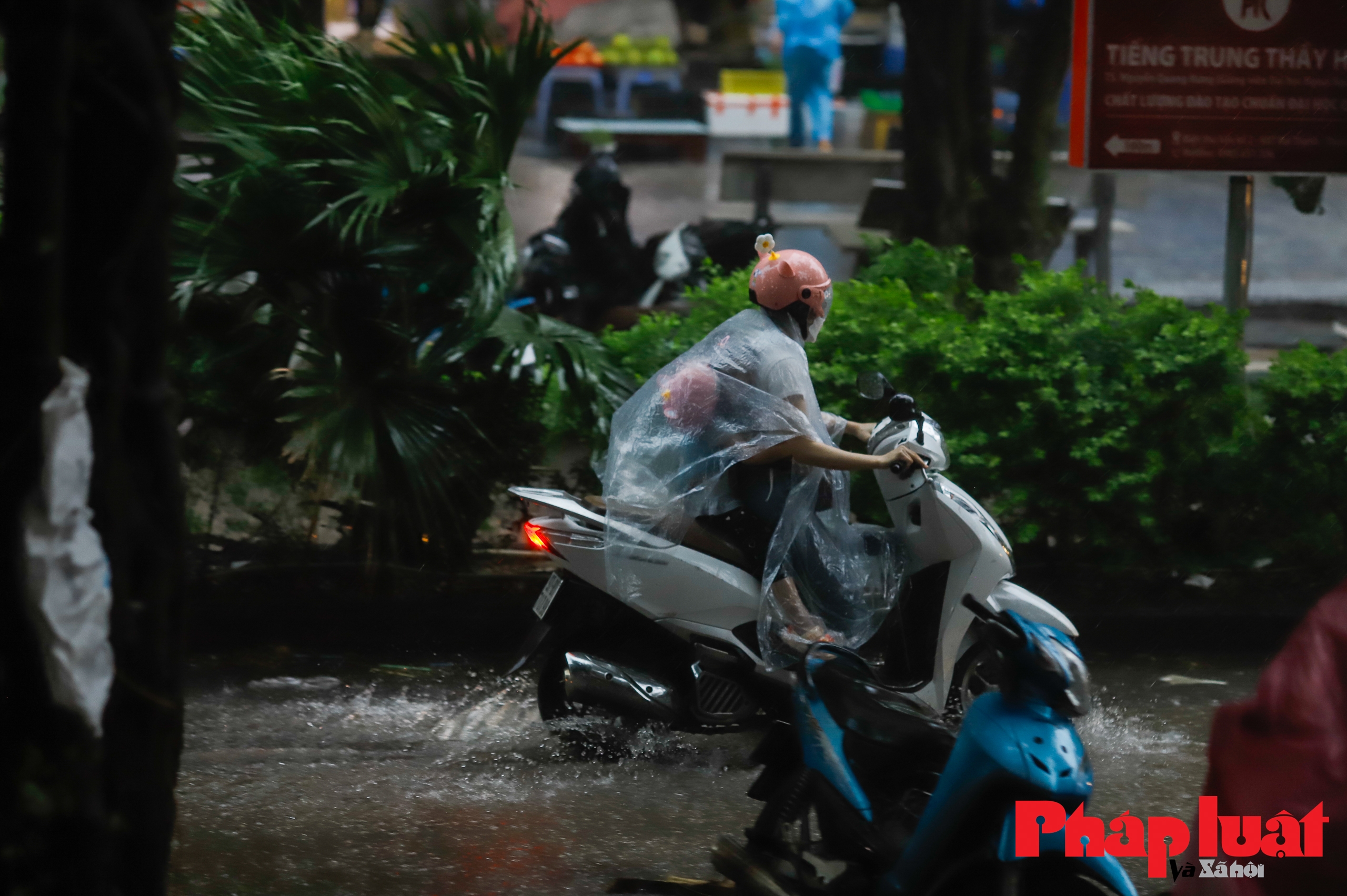 Hà Nội: mưa lớn trắng trời, cây gãy đổ, ùn tắc nghiêm trọng nhiều tuyến đường