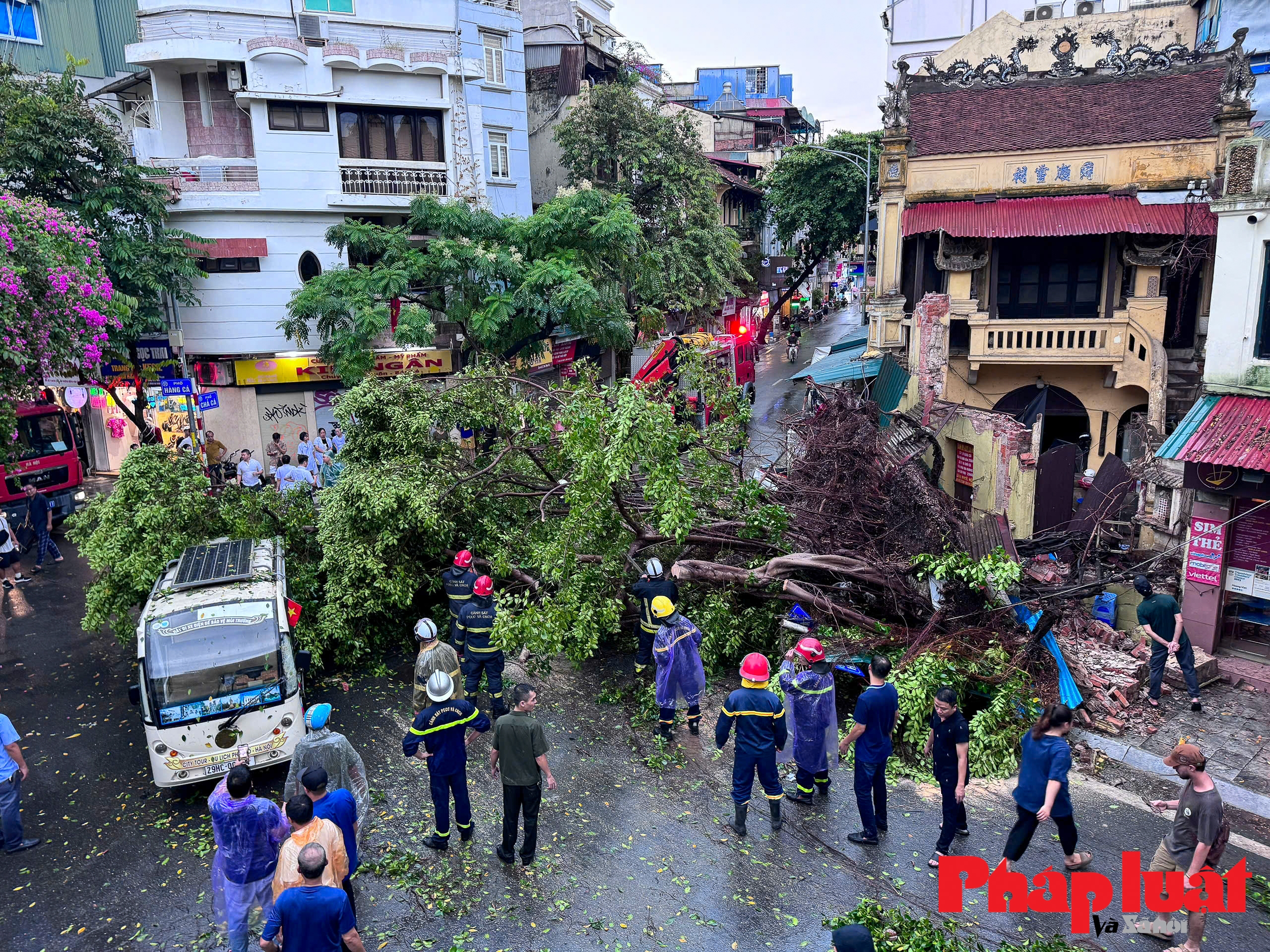 Hà Nội: mưa lớn trắng trời, cây gãy đổ, ùn tắc nghiêm trọng nhiều tuyến đường