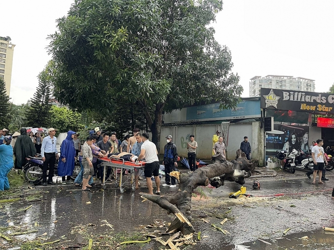 Giông lốc khiến cây đổ, đè trúng 2 người thương vong