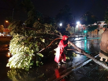 Huyện Thạch Thất: xử lý hàng loạt cây đổ, di dời người dân khỏi vùng nguy hiểm