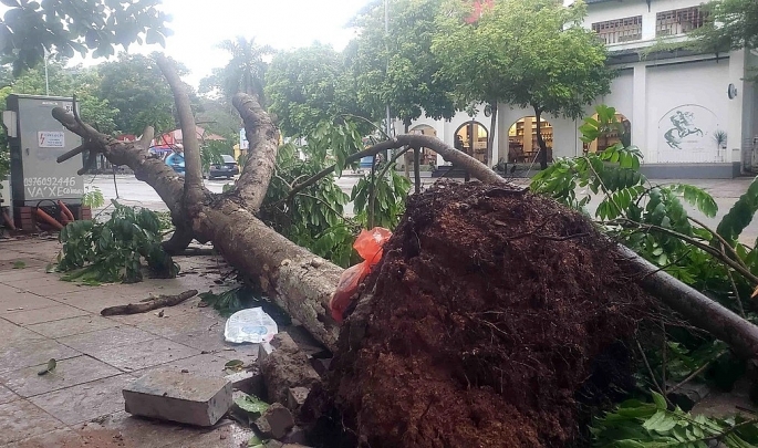 Vĩnh Phúc: lập chốt 2 chiều hạn chế người dân lên, xuống núi Tam Đảo