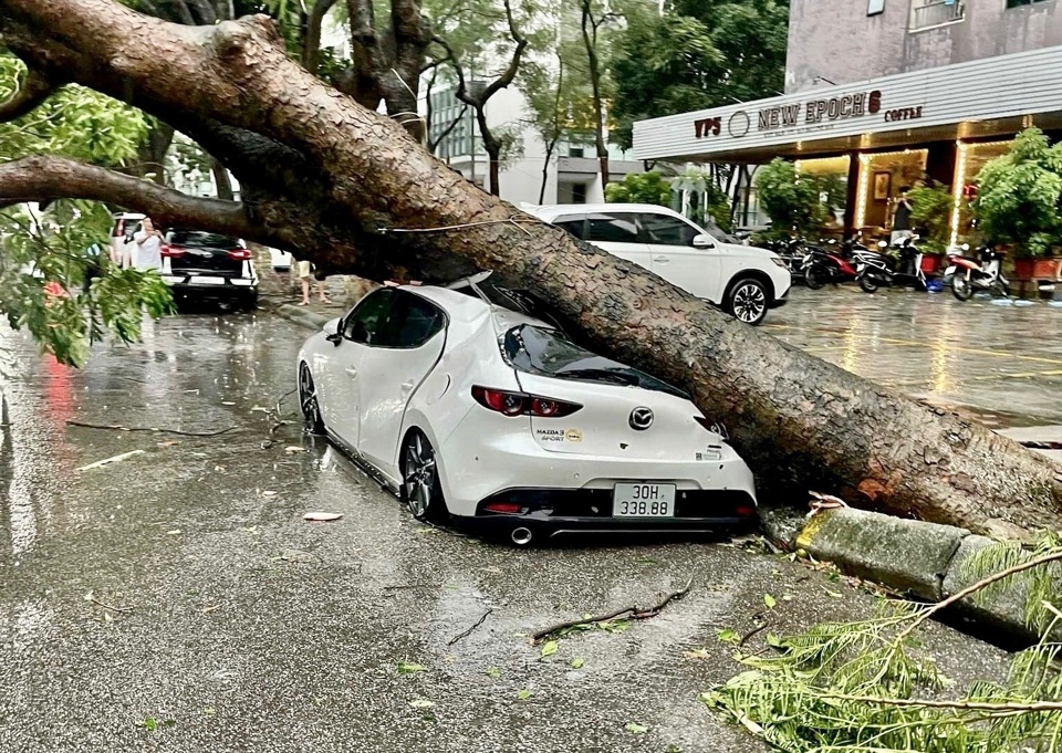 Một ô tô bị cây xanh gãy, đổ đè trúng.