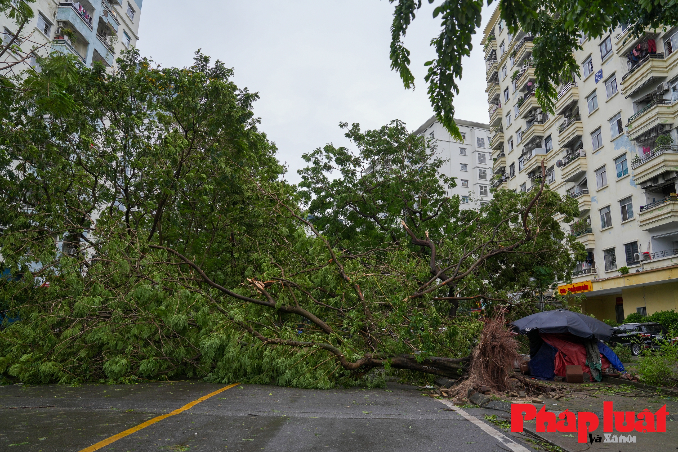 Hà Nội khẩn trương khắc phục hậu quả sau bão số 3