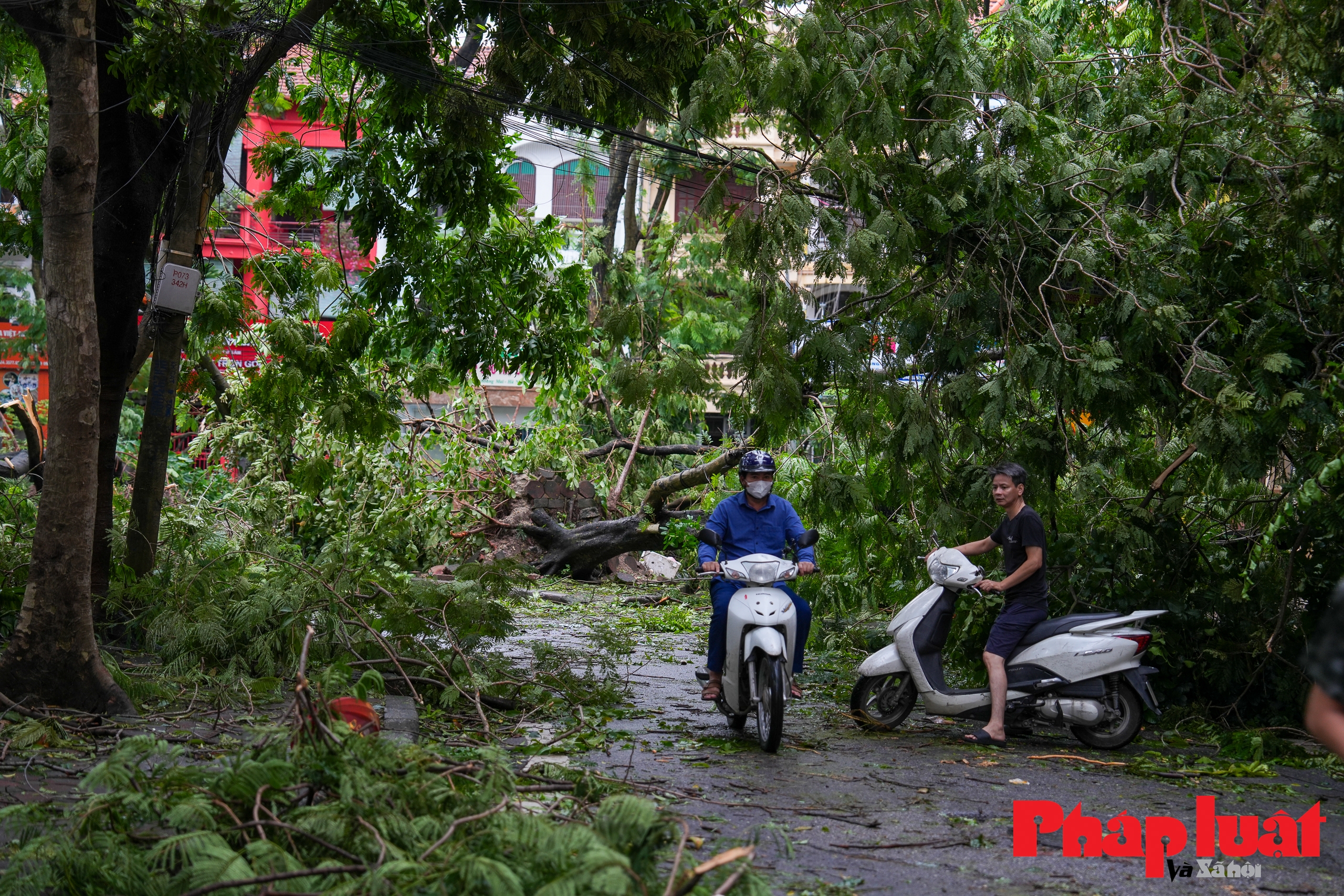 Hà Nội khẩn trương khắc phục hậu quả sau bão số 3