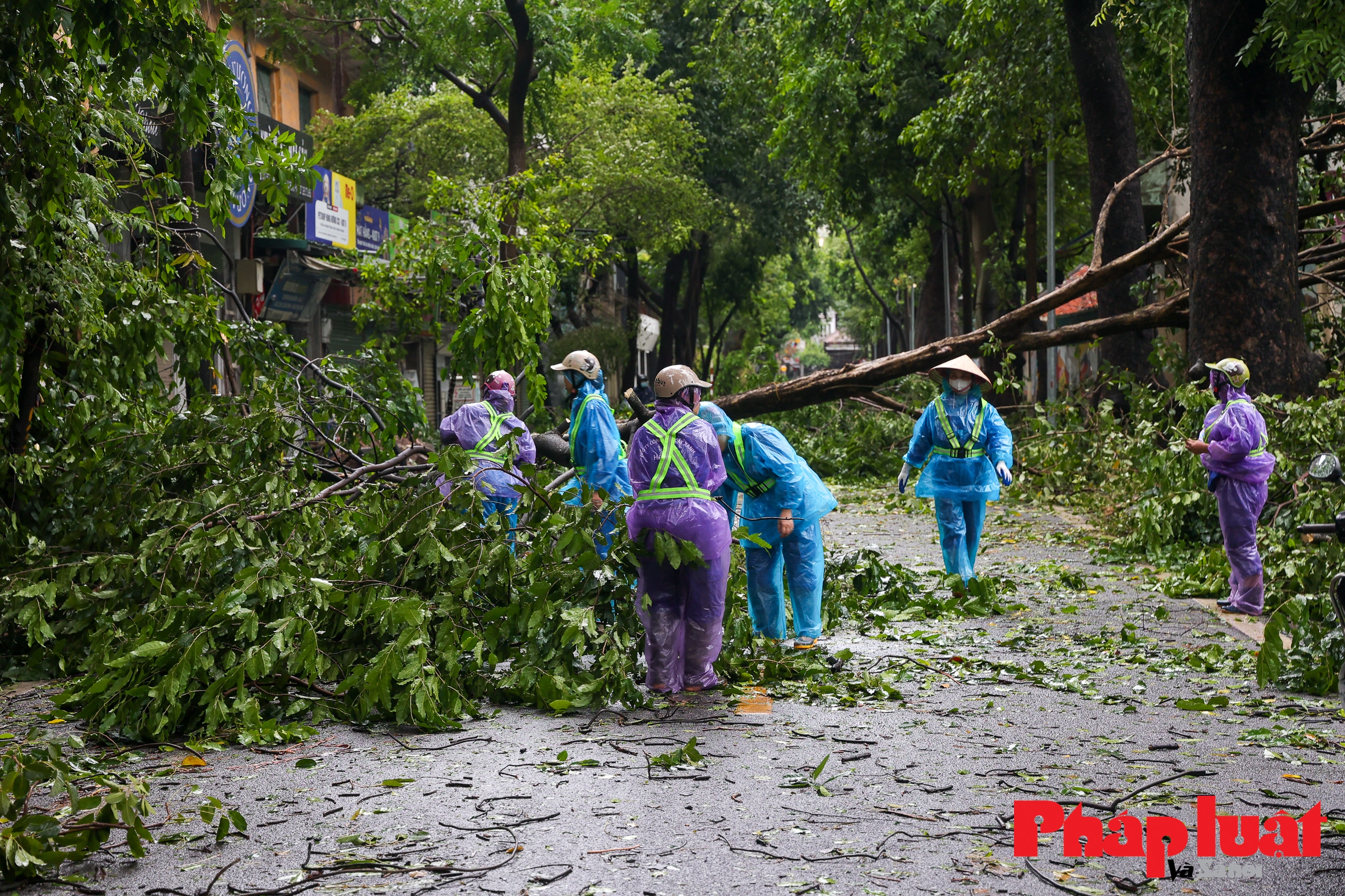 Hà Nội khẩn trương khắc phục hậu quả sau bão số 3