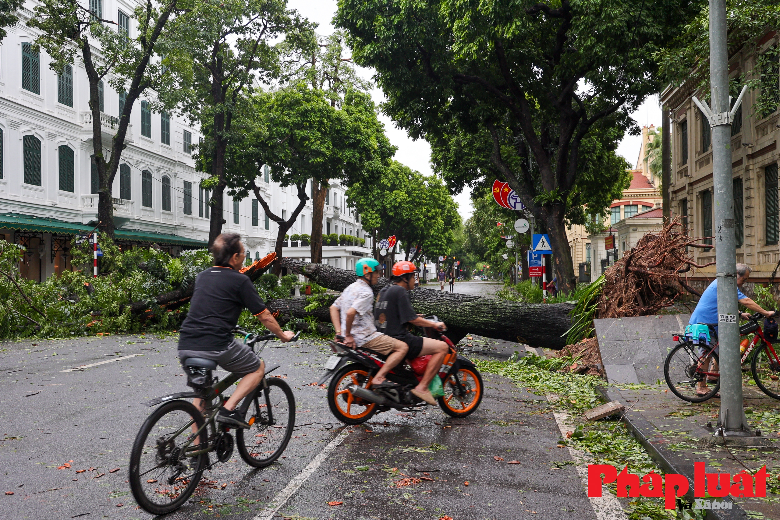 Hà Nội khẩn trương khắc phục hậu quả sau bão số 3