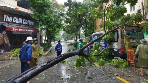 579 đội hình thanh niên Thủ đô hỗ trợ khắc phục hậu quả sau cơn bão Yagi