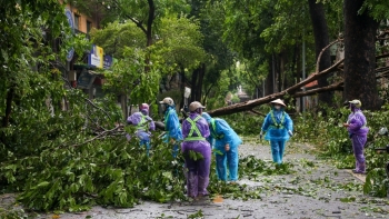 Hà Nội: gần 300 công trình hư hỏng do bão số 3