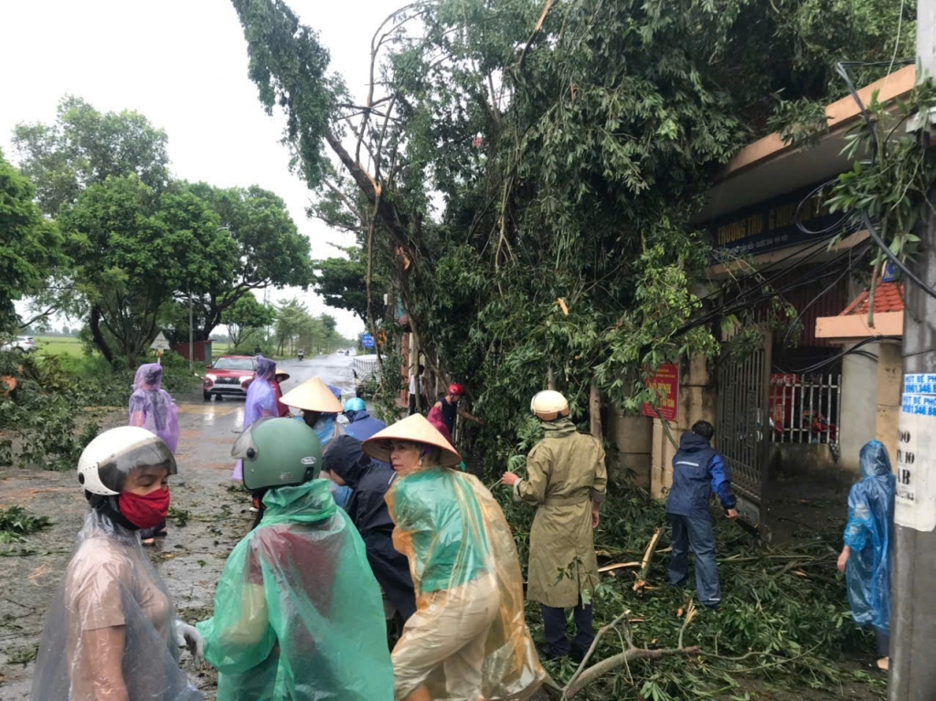 Các trường học Hà Nội tích cực khắc phục hậu quả bão số 3 để đón học sinh trở lại