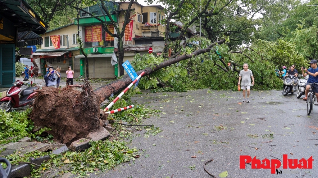 Thời tiết khu vực Hà Nội đêm 8/9 và ngày 9/9: có lúc có mưa và dông