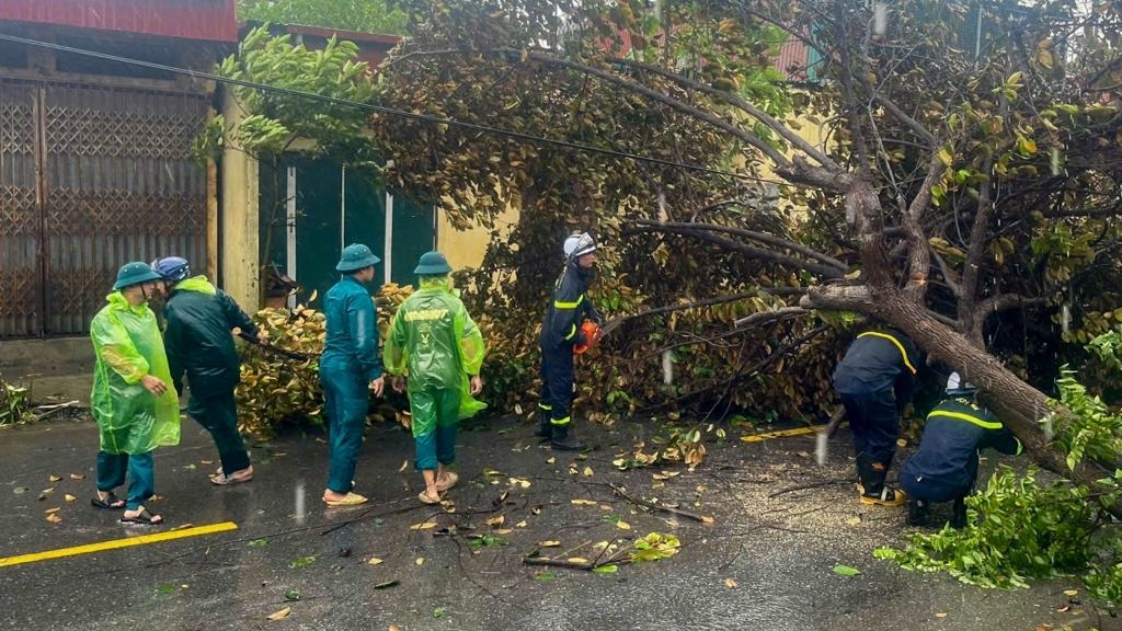 Hà Nội: tập trung giải tỏa cây xanh gãy, đổ sau cơn bão số 3