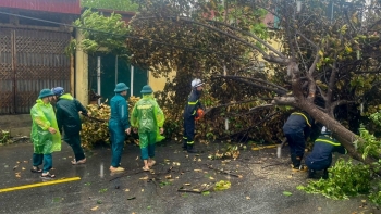 Hà Nội: tập trung giải tỏa cây xanh gãy, đổ sau cơn bão số 3