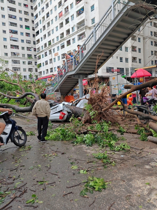 Cây xanh đè bẹp một chiếc xe ô tô trong bão 