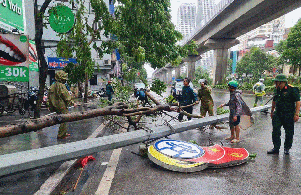 Tình người trong dông bão