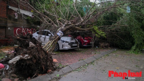 Doanh nghiệp bảo hiểm thực hiện ngay tạm ứng, bồi thường thiệt hại do bão Yagi