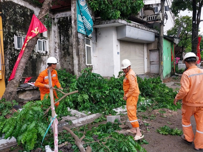 100% số cây xanh bị đổ, gãy trên địa bàn huyện Mỹ Đức đã được thu dọn, trả lại giao thông thông thoáng. Ảnh: V. Biên