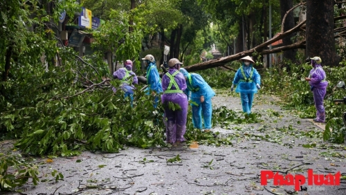 7 tỉnh, thành phố hỗ trợ Hà Nội thu dọn, xử lý cây xanh gãy đổ