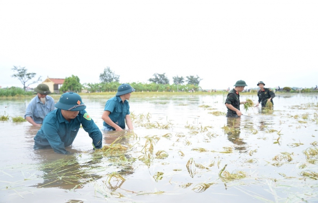 Sẵn sàng các phương án sơ tán khi nước lũ sông Hồng vượt mức báo động tại Ba Vì