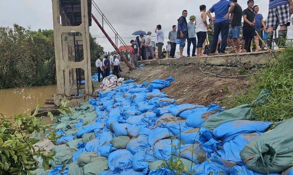 Khu vực đoạn đê cống Giang Khẩu (Đại Thắng) được gia cố thân đê phòng ngừa vỡ đê do mưa bão