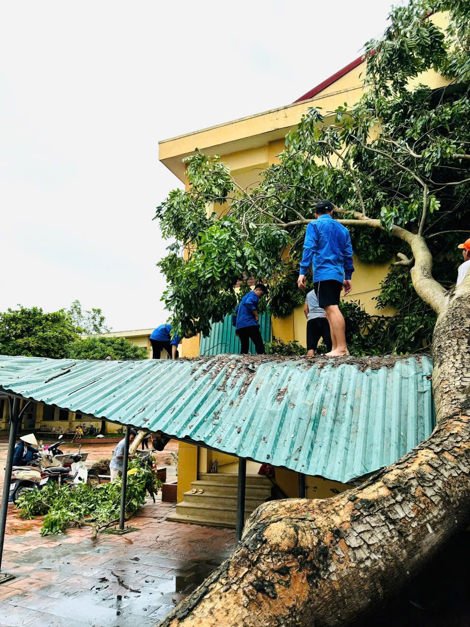 Thanh niên Thủ đô hỗ trợ các lực lượng chức năng dọn dẹp cây đổ, vệ sinh môi trường