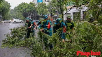 Hà Nội: tập trung huy động lực lượng trồng lại cây xanh gãy, đổ, dọn vệ sinh môi trường