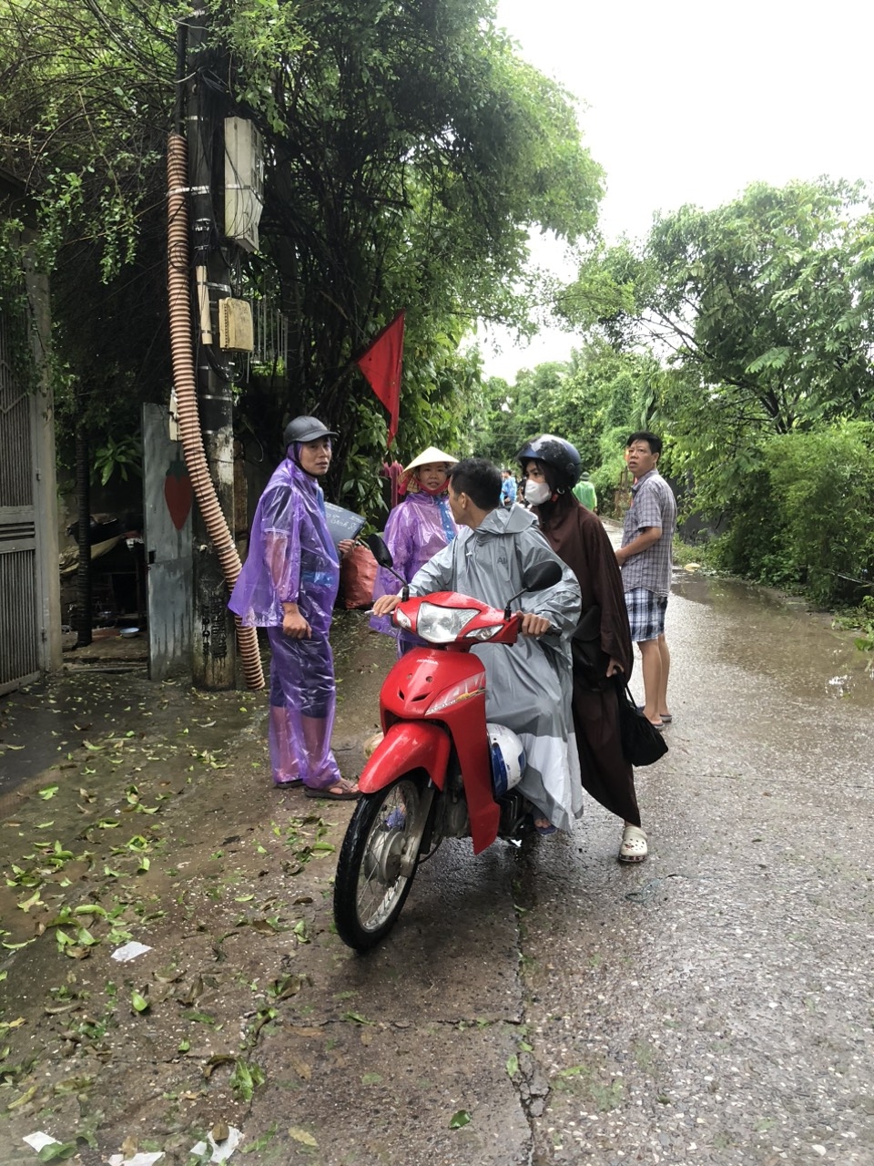 Quận Tây Hồ: Phường Nhật Tân di chuyển 4 tổ dân phố tránh lũ