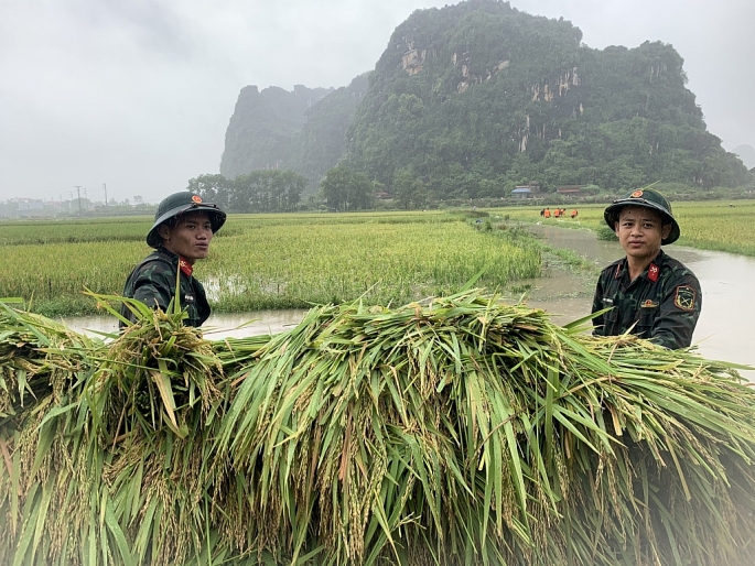 Lực lượng vũ trang huyện Mỹ Đức hõ trợ người dân xã An Phú htu hoạch lúa. Ảnh: Văn Biên