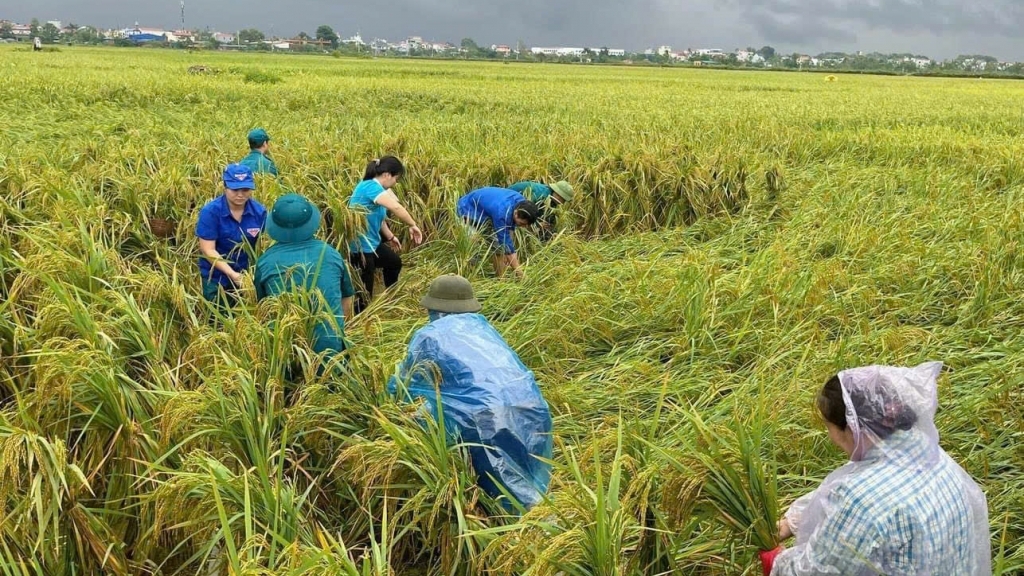 Phụ nữ Thủ đô với tinh thần “tương thân, tương ái”