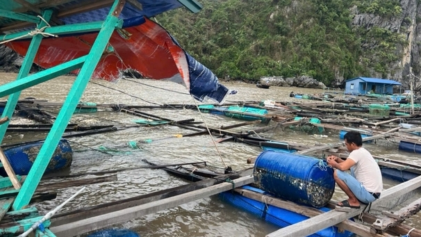 Ngân hàng giảm lãi suất cho vay hỗ trợ khách hàng mùa lũ