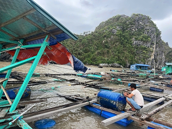 Ngân hàng giảm lãi suất cho vay hỗ trợ khách hàng mùa lũ