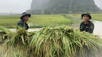 Huyện Mỹ Đức: thắm tình quân dân nơi vùng lũ