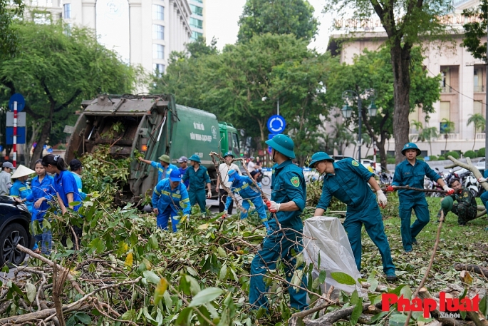 Hà Nội có thể “cứu” được hơn 3.000 cây xanh bị đổ trong cơn bão số 3