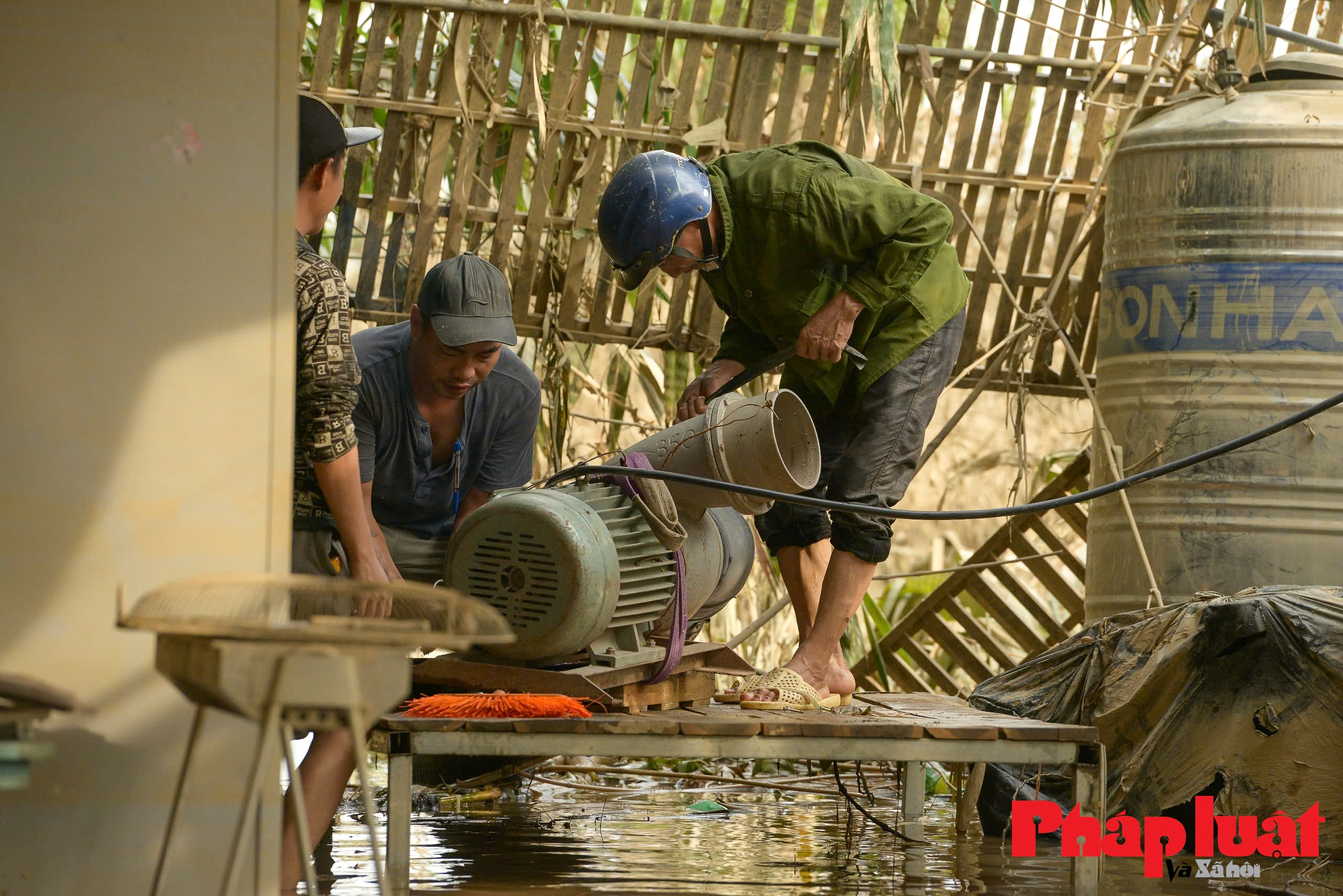 Làng đào Nhật Tân chung tay khắc phục sau ngập lụt