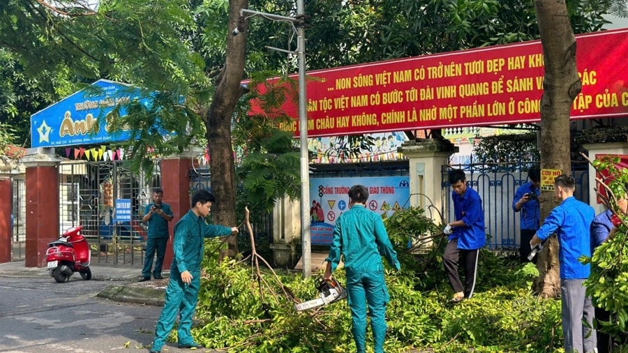 Hà Nội hoàn thành thu dọn cây xanh gãy, đổ ở các quận trước 20/9