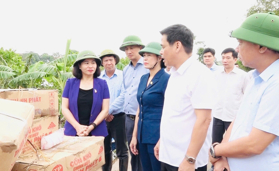 Phó Bí thư Thường trực Thành ủy Nguyễn Thị Tuyến kiểm tra công tác phòng, chống bão lũ tại thôn Đồng Chiêm, xã An Phú (huyện Mỹ Đức).