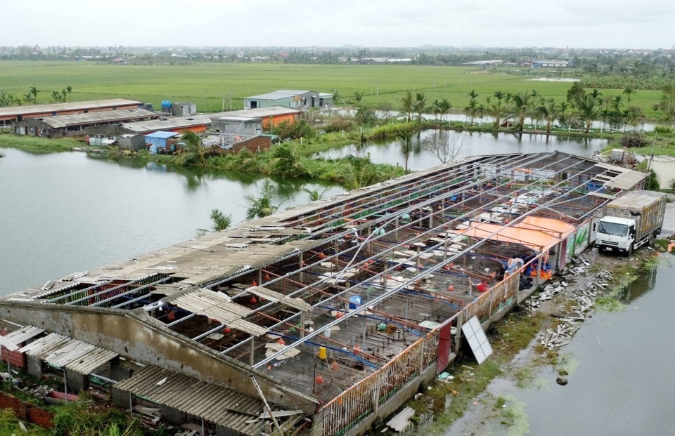 Hướng dẫn các giải pháp hỗ trợ cá nhân, doanh nghiệp bị tổn thất do bão lũ. Ảnh minh họa