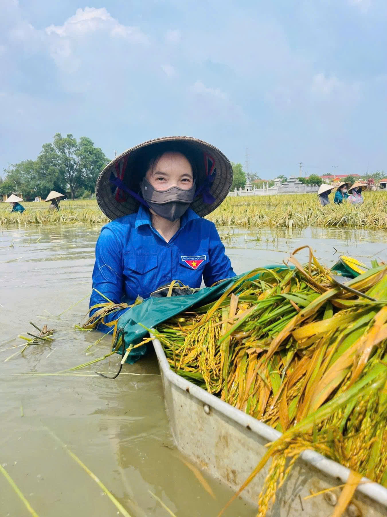 Phát huy sắc xanh trên những “tuyến đường xanh”