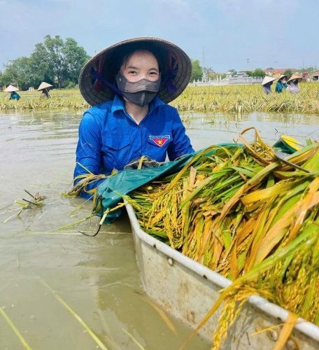 Phát huy sắc xanh trên những “tuyến đường xanh”