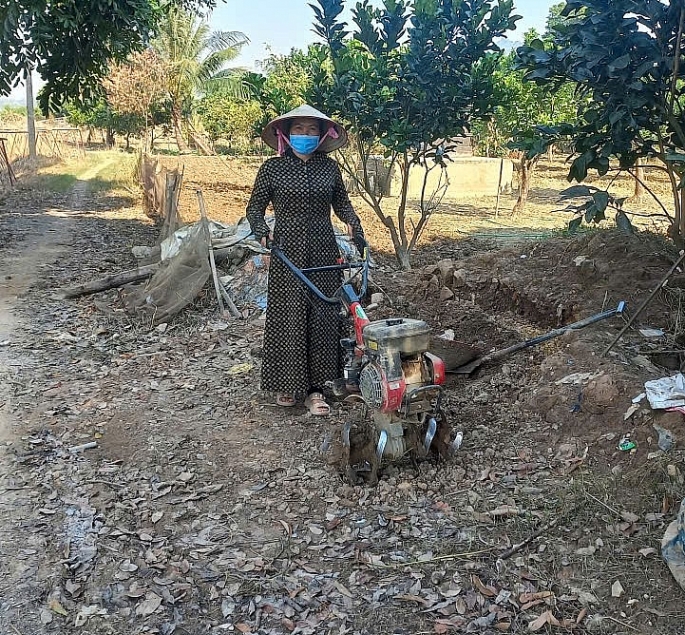 Nông dân thôn Phú Liễn, xã Hợp Tiến làm đất để trồng rau màu vụ Đông. Ảnh: V. Biên