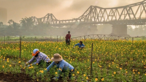 Góc Hà Nội bình dị với “Thử thách ven sông”