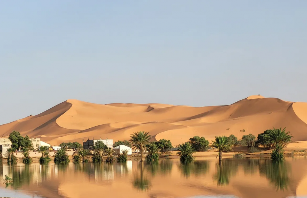 Kỳ lạ: mưa lớn giữa sa mạc Sahara khô cằn