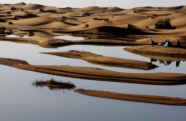 Kỳ lạ: mưa lớn giữa sa mạc Sahara khô cằn