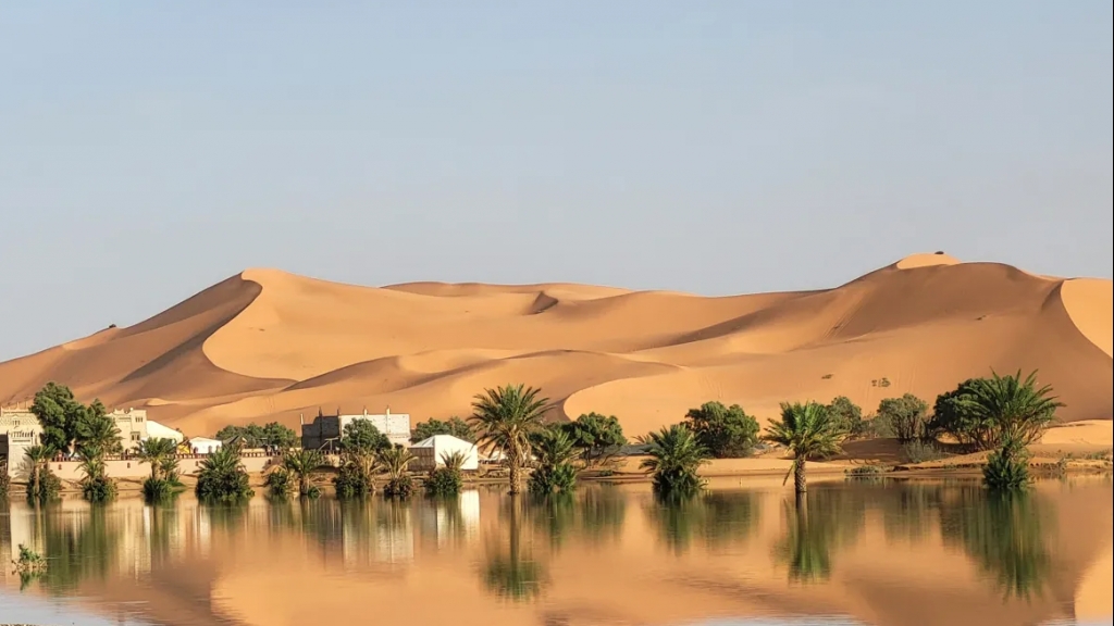 Kỳ lạ: mưa lớn giữa sa mạc Sahara khô cằn