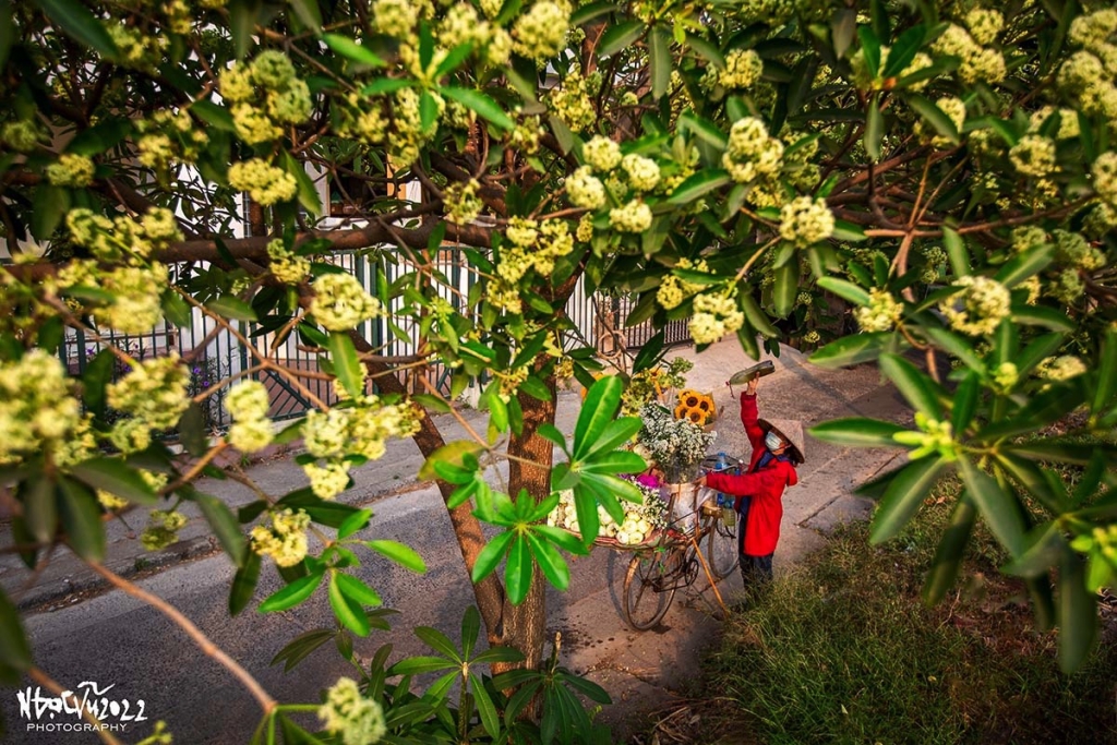 Mùa nối mùa gợi nhớ gợi thương