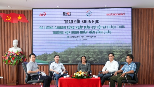 Rừng ngập mặn: Nguồn carbon xanh quý giá, mang lại lợi ích kinh tế cho cộng đồng