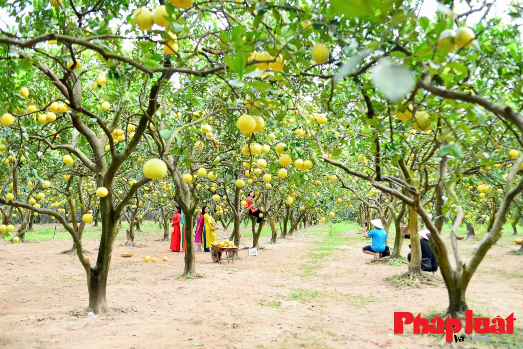 khai thác tài chính xanh và phát triển bền vững cho doanh nghiệp nông, lâm, thủy sản. Ảnh: Khánh Huy